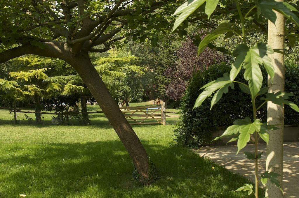 Sant Andreu del Terri Can Portell By 123Ole, B&B - Casa Rural מראה חיצוני תמונה